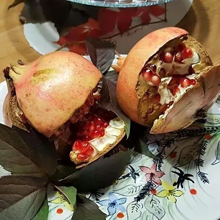 Casavittorio
