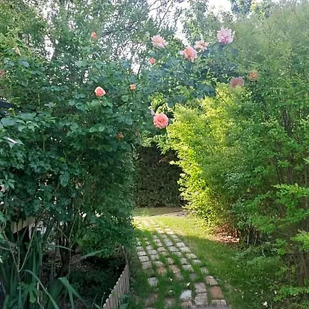 Casavittorio 3*