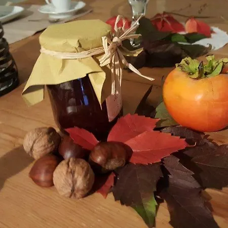 Casavittorio Bed & Breakfast