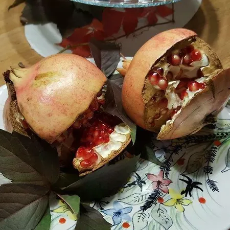 Alojamento de Acomodação e Pequeno-almoço Casavittorio 3*