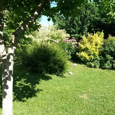 Casavittorio Bed & Breakfast